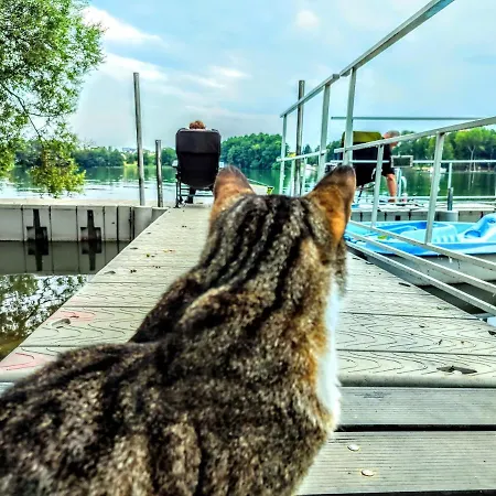 Apartment Villa-antonina Czaplinek